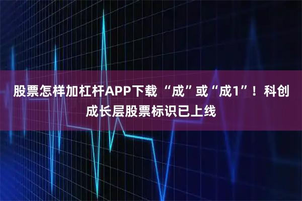 股票怎样加杠杆APP下载 “成”或“成1”！科创成长层股票标识已上线