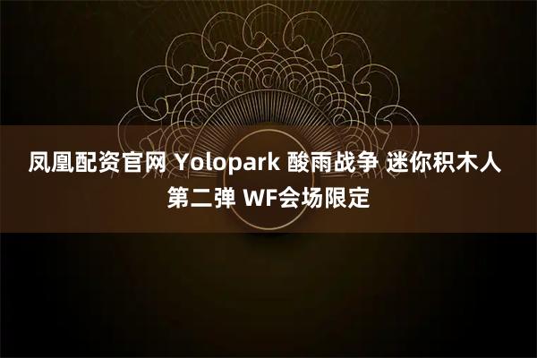 凤凰配资官网 Yolopark 酸雨战争 迷你积木人 第二弹 WF会场限定