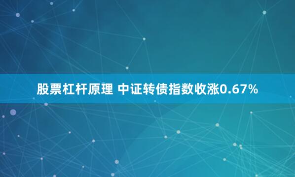 股票杠杆原理 中证转债指数收涨0.67%